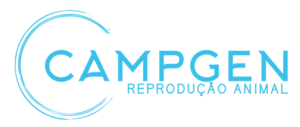 Campgen