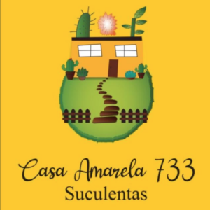 casa amarela
